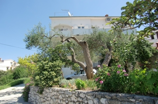 CIMG1264.JPG