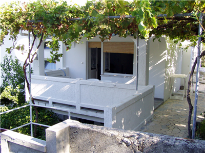 P1010002.JPG