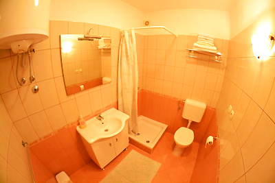 49570888.jpg