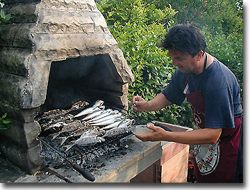 96.jpg